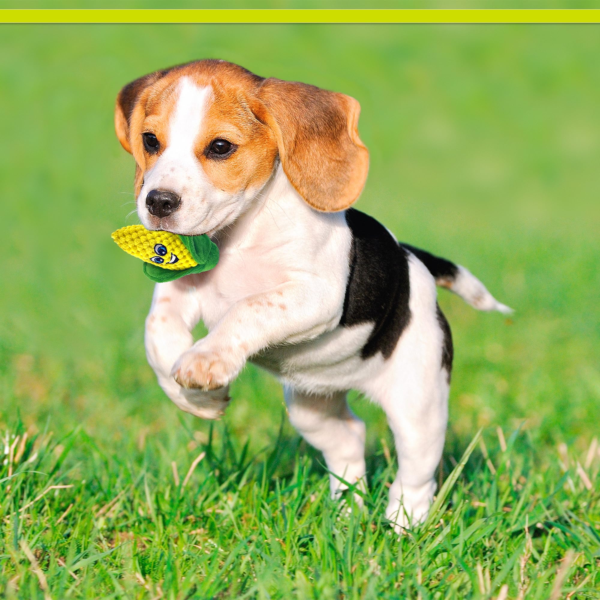 Amazon.co.jp: PetSport Tiny Tots ぬいぐるみ スーパーソフト 犬用
